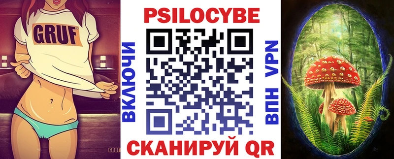 закладка  Калуга  Псилоцибиновые грибы GOLDEN TEACHER 