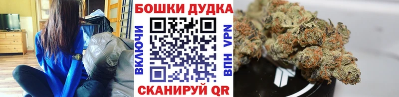 Канабис сатива  продажа наркотиков  Калуга 